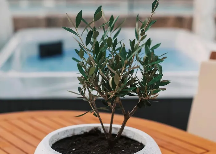 Zen Luxury 빌라 린도스